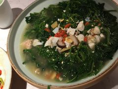 上汤桑叶苗-大榕树下顺德菜(融创茂店)