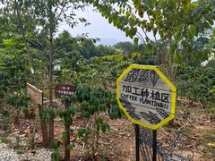 -Torch Coffee 炬点咖啡