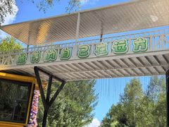 -汤旺河林海奇石景区
