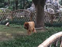 -上海静安宾馆