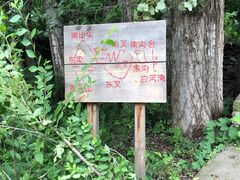 -白河湾生态旅游一条川
