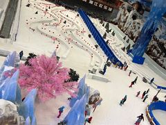 -湘江欢乐城欢乐雪域