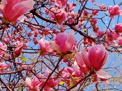 -常熟路(地铁站)