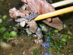 -攀枝花·任德琼·盐边羊肉米线