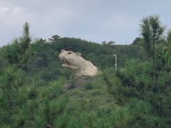 -乌素图国家森林公园