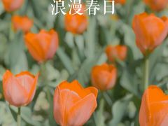 -国家植物园