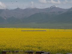 -青海湖国家重点风景名胜区