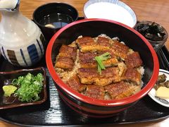 -本家 柴藤