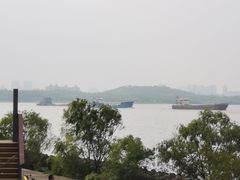 -上海滨江森林公园