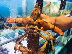 -船梆煮•蒸汽海鲜·炉火烤肉(五四广场店)