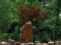 -上海市保健医疗中心(华东疗养院)