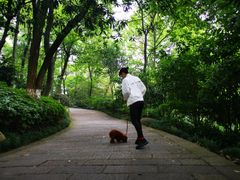 -杭州半山国家森林公园