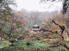 -岳麓山风景名胜区