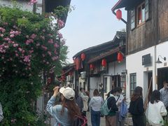 -运河游船(武林门码头)