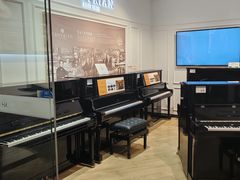 -柏斯琴行(汾阳店)