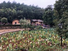 -韶山毛泽东同志故居