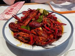 -杨氏青龙虾·羊蝎子(托乐嘉店)
