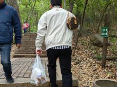-紫金山山顶公园