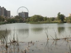 -东湖公园