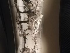 -大庆市博物馆