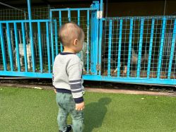 -小蜜蜂农场(凯德七宝购物广场店)