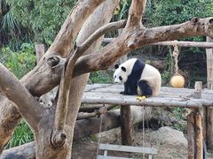 -宁波野生动物园