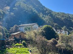 -雁南飞茶田景区