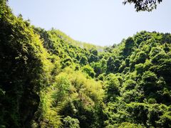 -夏霖九天银瀑风景区