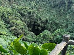 -海口火山口国家地质公园