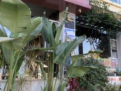 -野菌皇海景野生菌火锅(滨海大道店)