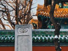 -北京国子监胡同