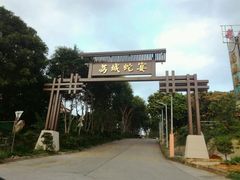 -荔城生鲜盛宴(番禺旗舰店)