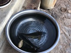 -小厨子私房菜·云南美食店