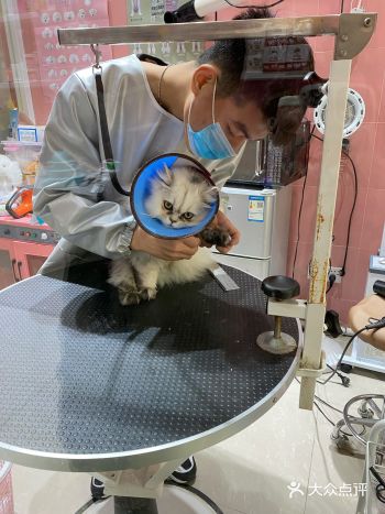 从第一分钟到最后一分钟