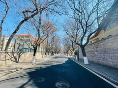 -青岛海滨风景区