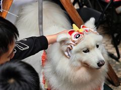 -ALBERGUE 1601 婆仔屋葡国餐厅