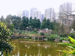 -龙头寺公园