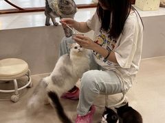 -共舞时光猫咖·狗咖(新街口店)