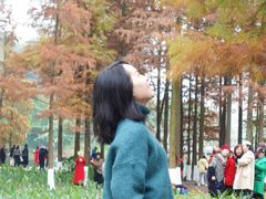 -重庆彩云湖湿地公园