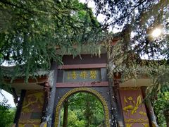 -中国大熊猫保护研究中心雅安碧峰峡基地