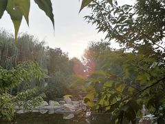 -保利·罗兰香谷