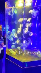 -未来动物城动物主题公园(大悦城店)