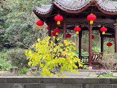 -深圳国际园林花卉博览园