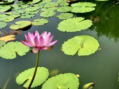 -国家植物园南园