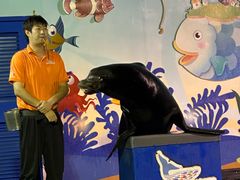 -太平洋海底世界