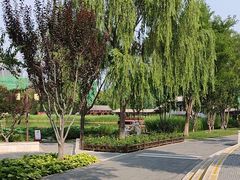 -西海子公园