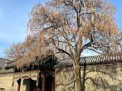 -张学良旧居陈列馆