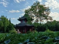 -莲池书院博物馆