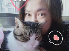 -艾贝尔宠物医院·24H转诊中心·肿瘤猫专科(江宁双龙店)