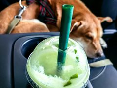 -茉酸奶(高科山姆店)